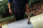 玻璃钢夹砂管修补-玻璃钢管道修补