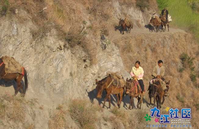 山路2.jpg