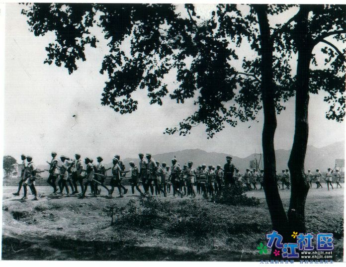13-009.jpg