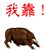 H.jpg