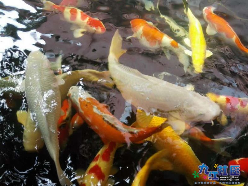 webwxgetmsgimg (15).jpg