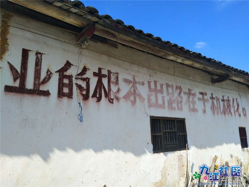 微信图片_20180730092944.jpg