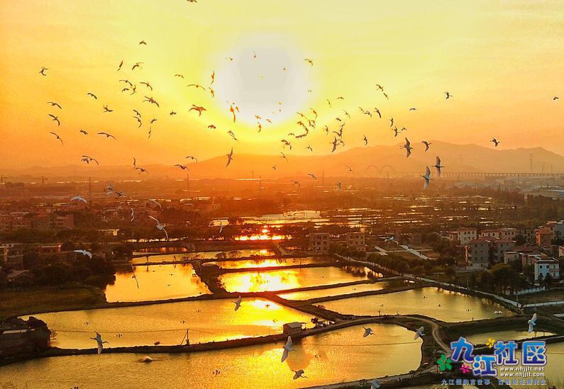 原本广阔的觅食环境