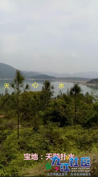 宝地：天鹅扑水.jpg