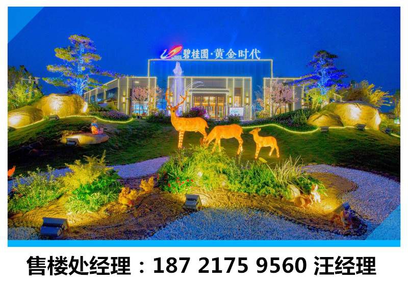 碧桂园黄金时代