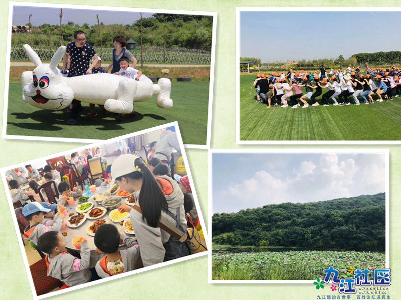 龟兔赛跑 做饭副本.jpg