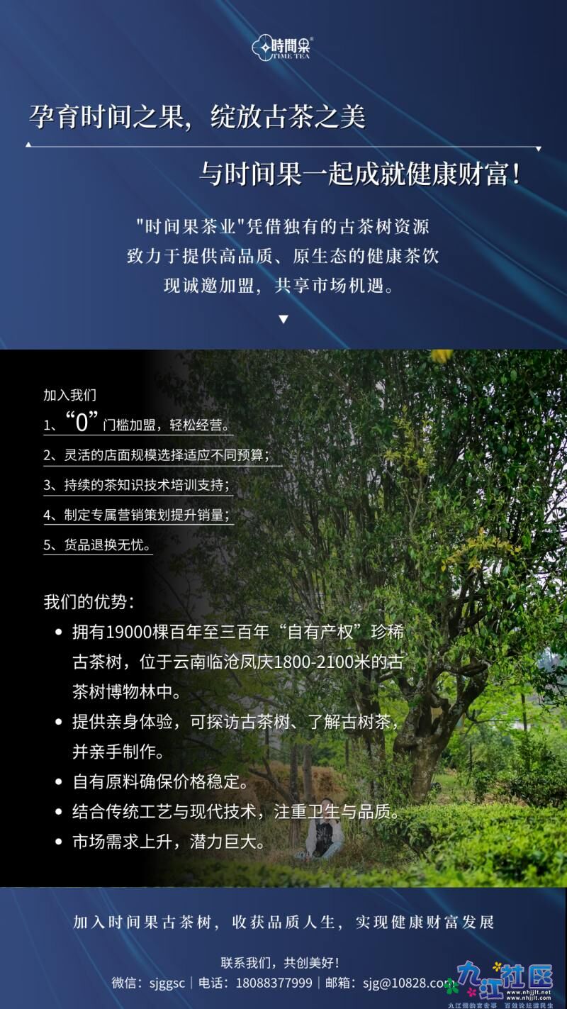 时间果招商2.jpg