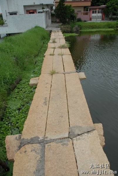 呢条桥系沙嘴，具体系边我就唔知，因为去个几日我另外有事做，D相系我同事影既