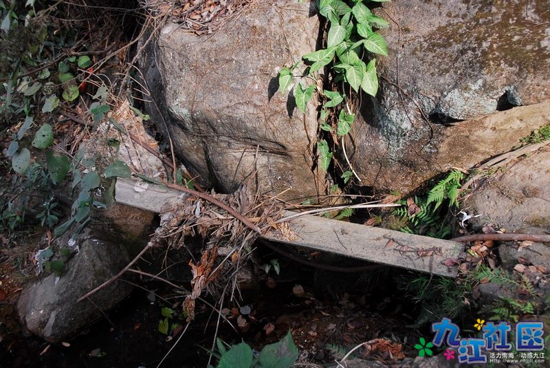 保安搭的独木桥