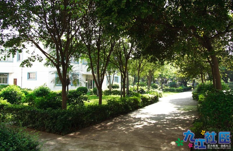 美丽的沙头华光中学校园