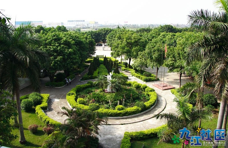 美丽的沙头华光中学校园