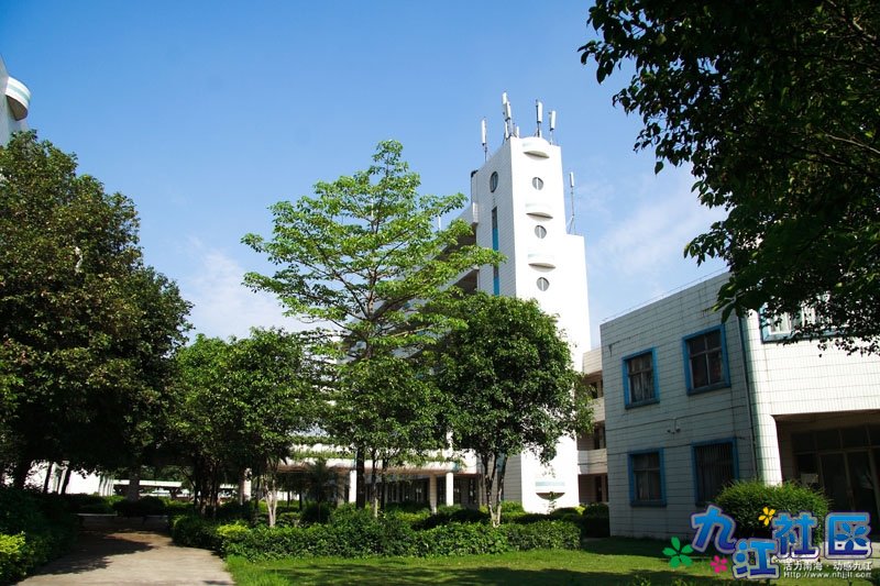 美丽的沙头华光中学校园