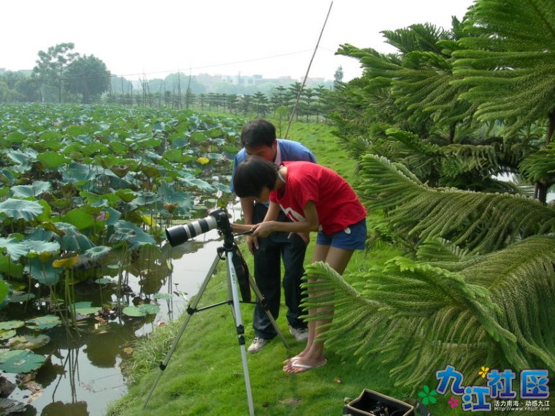华光中学摄影社团２０１０暑假实践