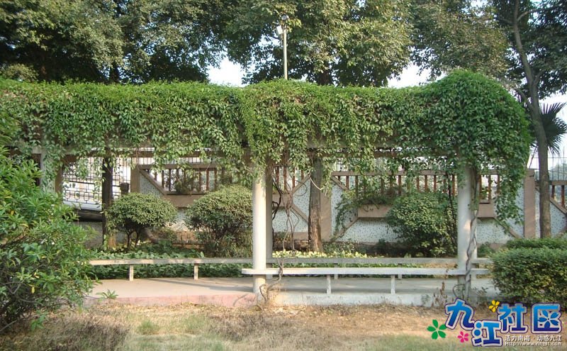 华光中学106班第4小组校园实践相片