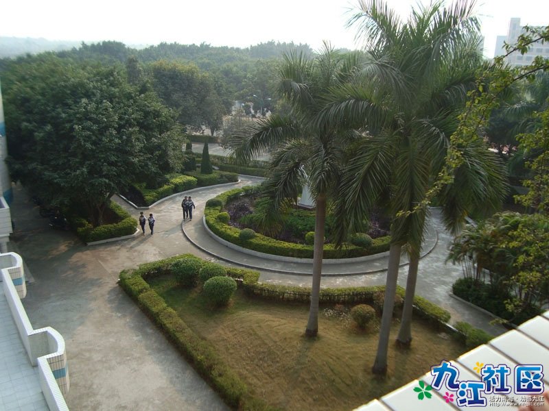 华光中学106班第4小组校园实践相片