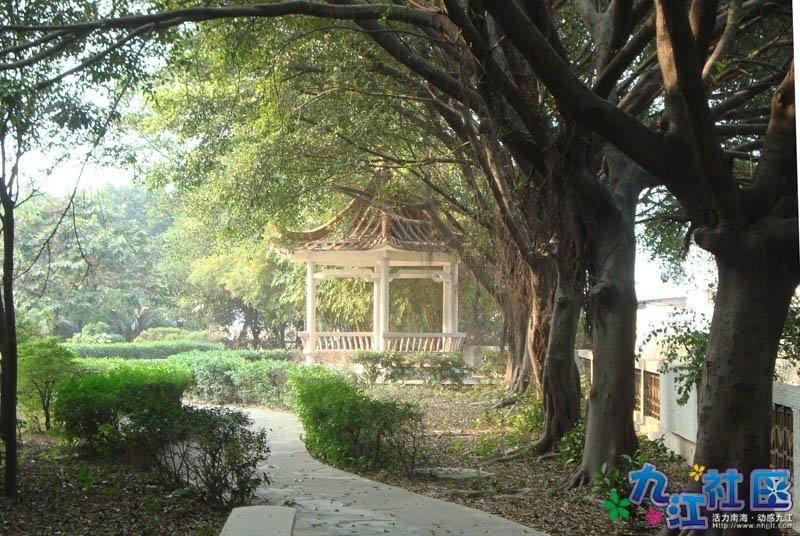 华光中学106班第4小组校园实践相片