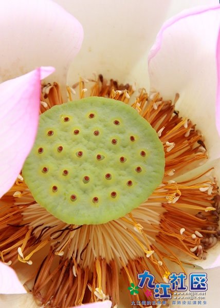 华光中学摄影社团拍摄