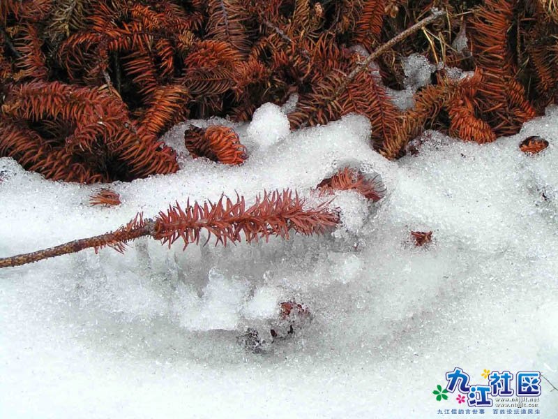 104班 18号 何韵妍2