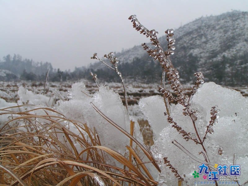 104班 18号 何韵妍.jpg