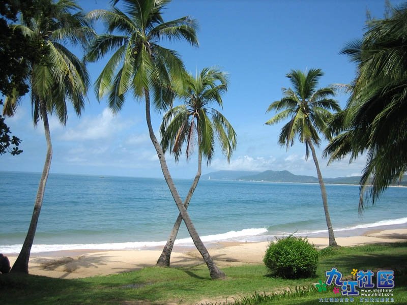 108班 20崔钰莹   天涯海角景区