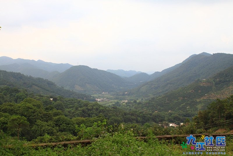 四会威整镇黄洞风大磅村